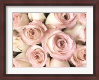 Framed Top View - Pink Roses
