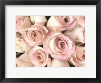 Framed Top View - Pink Roses