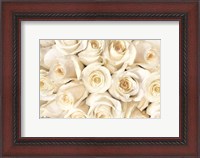 Framed Top View - White Roses