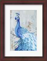 Framed Peacock Paradise