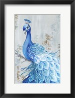 Framed Peacock Paradise