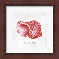 Framed Red Seashell