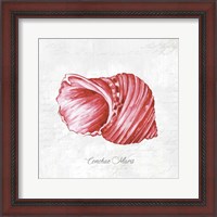 Framed Red Seashell