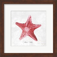 Framed 'Red Starfish' border=