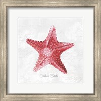 Framed Red Starfish