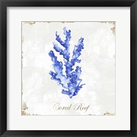Blue Sea Coral Framed Print