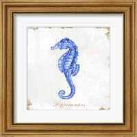 Framed Blue Sea Horse