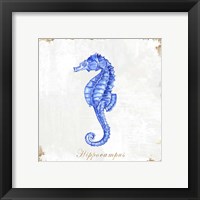 Framed 'Blue Sea Horse' border=