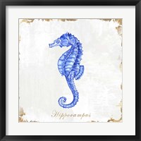 Framed Blue Sea Horse