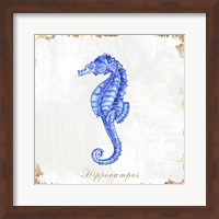 Framed Blue Sea Horse