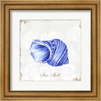 Framed Blue Seashell