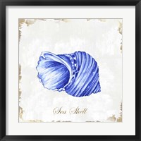 Framed Blue Seashell