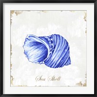 Framed Blue Seashell