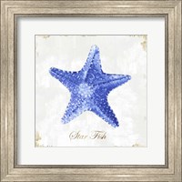 Framed Blue Starfish