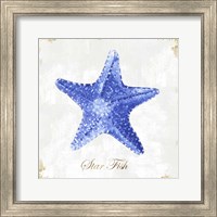 Framed Blue Starfish