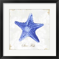 Framed Blue Starfish