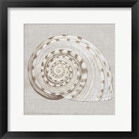 Neutral Shells I Framed Print