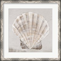 Framed Neutral Shells II