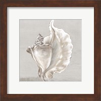 Framed 'Neutral Shells III' border=