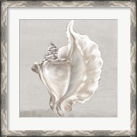 Framed Neutral Shells III