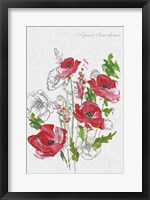 Framed Botanical Poppies