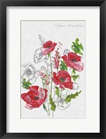 Framed Botanical Poppies