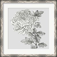 Framed Grey Botanical I