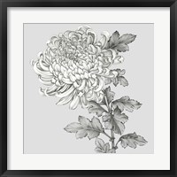 Framed Grey Botanical I