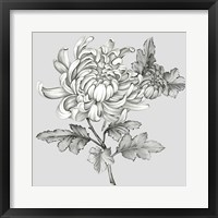 Framed Grey Botanical II