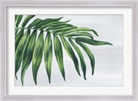 Framed Tropical Leaf I