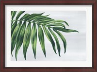 Framed Tropical Leaf I