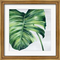 Framed Tropical Leaf II