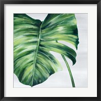 Framed Tropical Leaf II