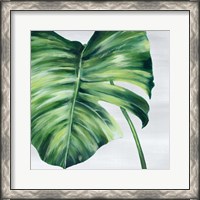 Framed Tropical Leaf II