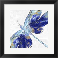 Framed Blue Dragonfly