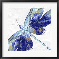 Framed Blue Dragonfly