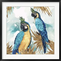 Framed Golden Parrots
