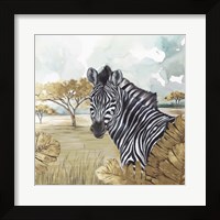 Framed Golden Zebras