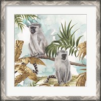 Framed Golden Monkeys