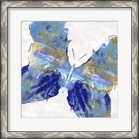 Framed Blue Butterfly