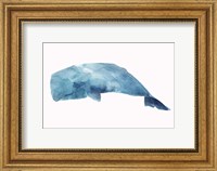 Framed Whale