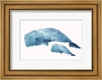 Framed Whale Baby