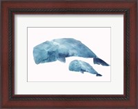 Framed Whale Baby
