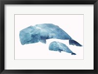 Framed Whale Baby