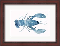 Framed Blue Lobster