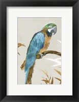 Framed Blue Parrot I