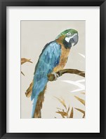 Framed Blue Parrot I