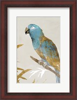 Framed Blue Parrot II
