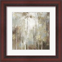 Framed Fine Birch I