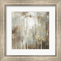 Framed Fine Birch I